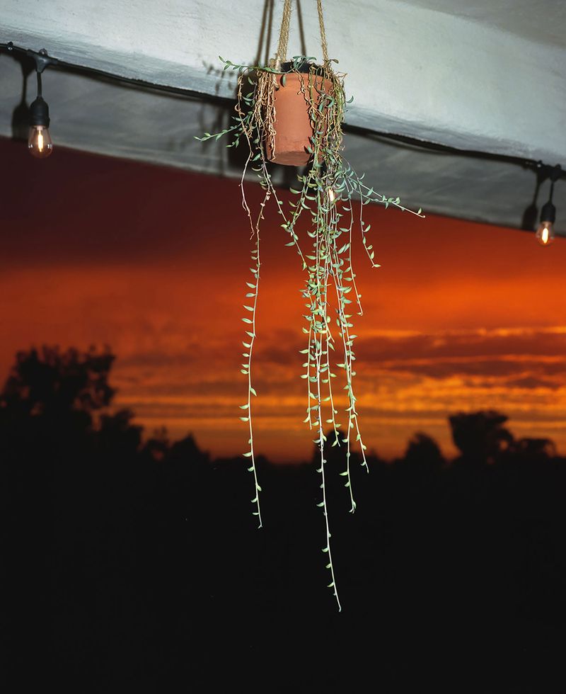 © Alan Nakkash - Image from the notes from the field photography project