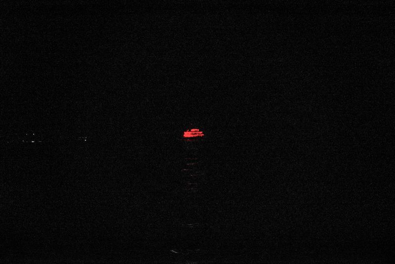 © YANG SU - Image from the Birds, the Flowers, and Them photography project