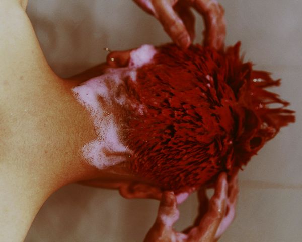 © YANG SU - Image from the Birds, the Flowers, and Them photography project