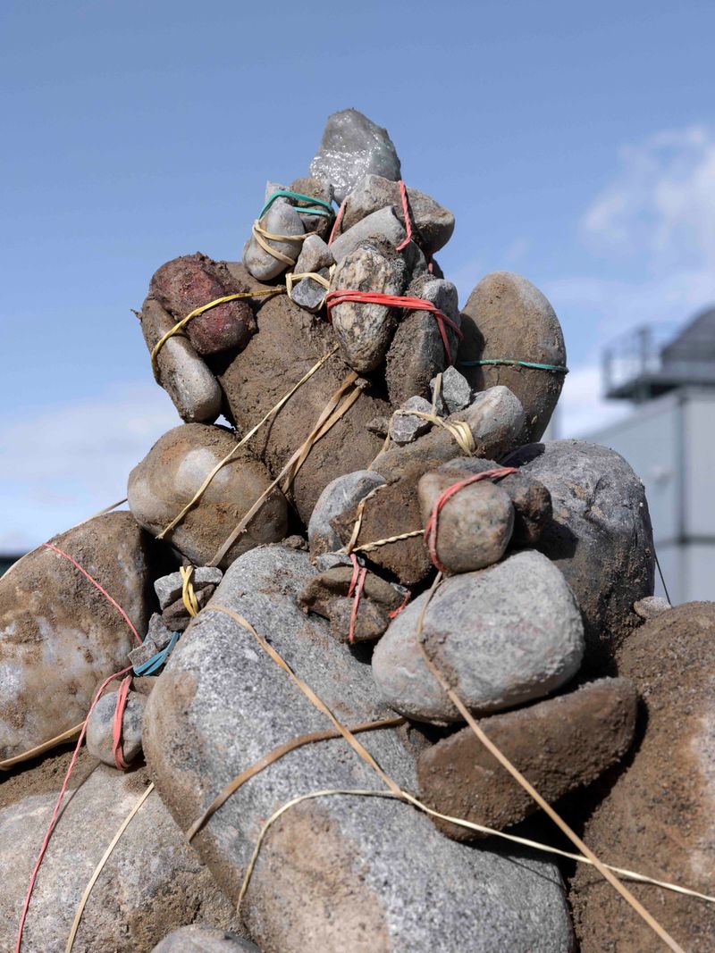© Pedro Rodrigues - Image from the movement in the alpine landscape photography project