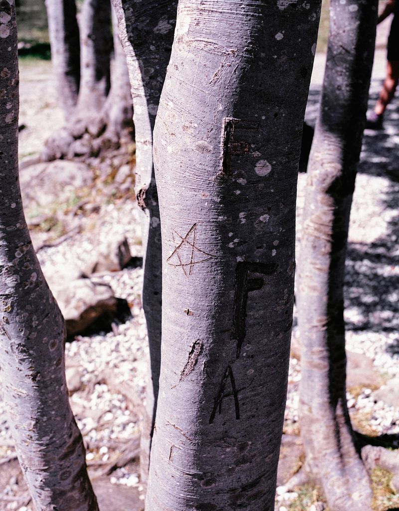 © Michael Francalanci - Image from the Dirty feet photography project