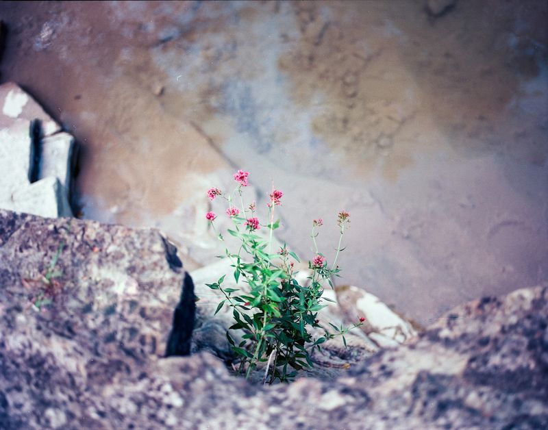 © Michael Francalanci - Image from the Dirty feet photography project