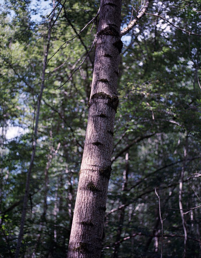 © Michael Francalanci - Image from the Dirty feet photography project