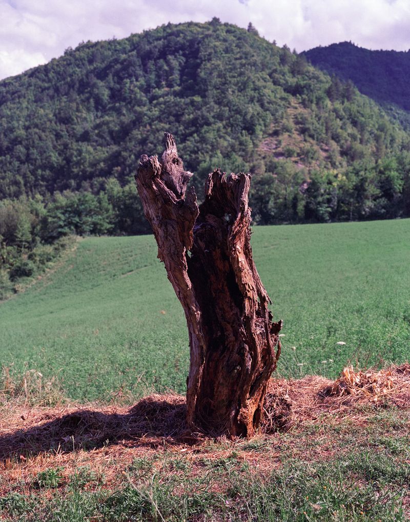 © Michael Francalanci - Image from the Dirty feet photography project