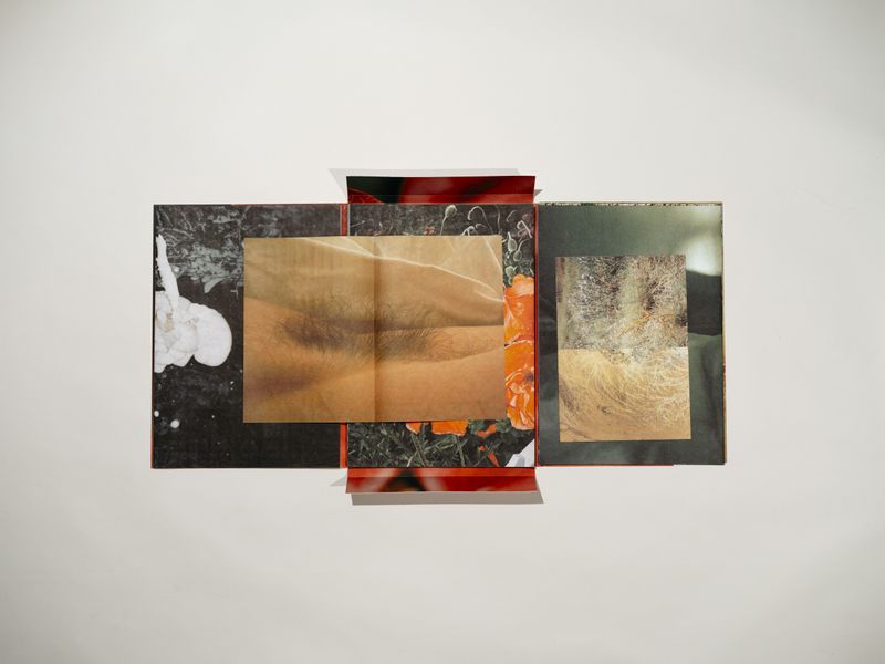 © Signe Fuglesteg Luksengard - Image from the dia'fragma photography project
