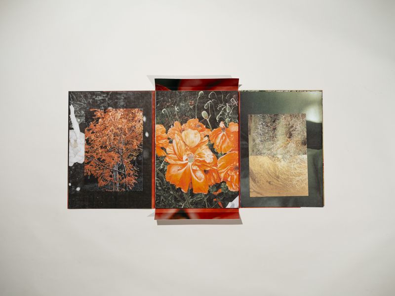 © Signe Fuglesteg Luksengard - Image from the dia'fragma photography project
