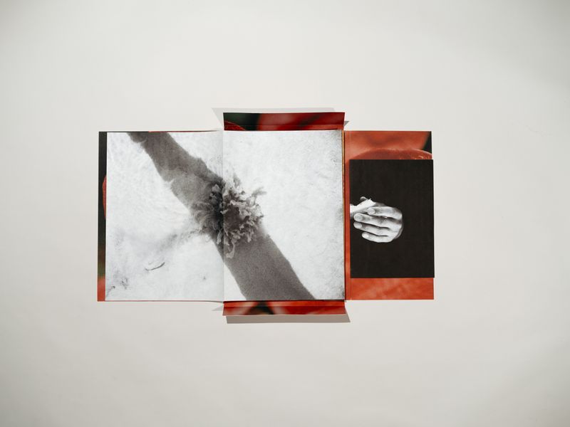 © Signe Fuglesteg Luksengard - Image from the dia'fragma photography project