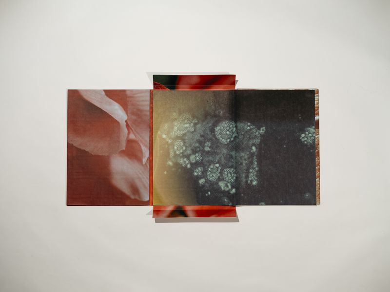 © Signe Fuglesteg Luksengard - Image from the dia'fragma photography project