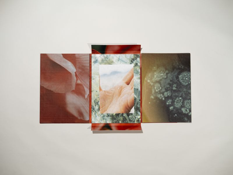 © Signe Fuglesteg Luksengard - Image from the dia'fragma photography project