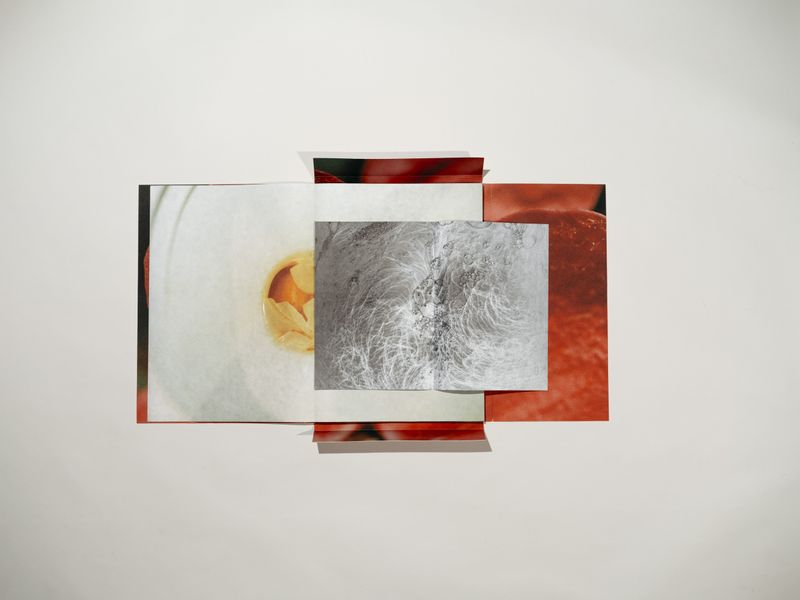© Signe Fuglesteg Luksengard - Image from the dia'fragma photography project