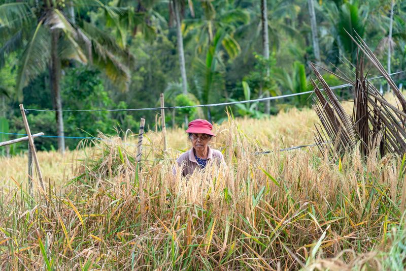 © Simone Campedelli - Image from the The Soul of Indonesia: A Visual Journey photography project