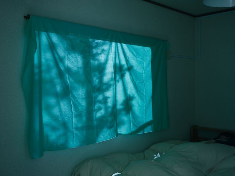 © Ryo Adachi - I Want To Check The Shape Of Trees-20