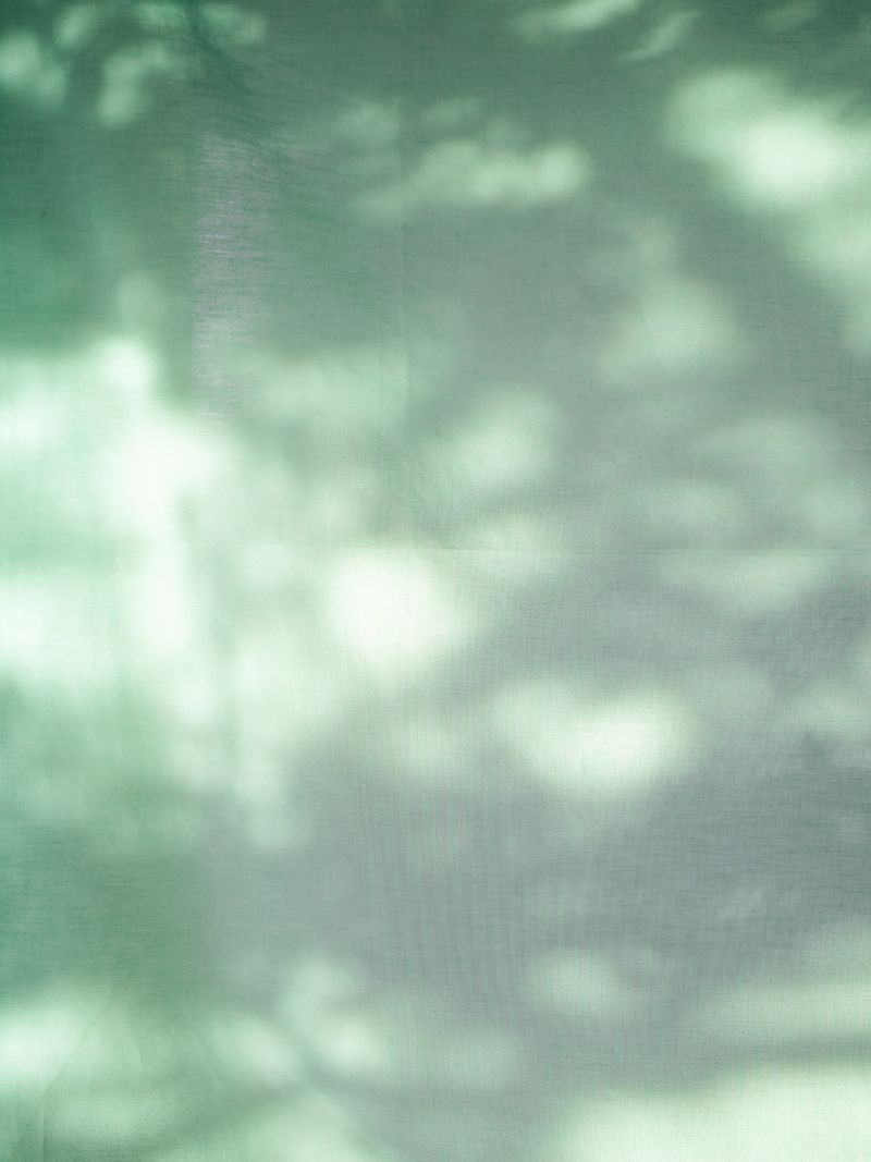 © Ryo Adachi - I Want To Check The Shape Of Trees-08