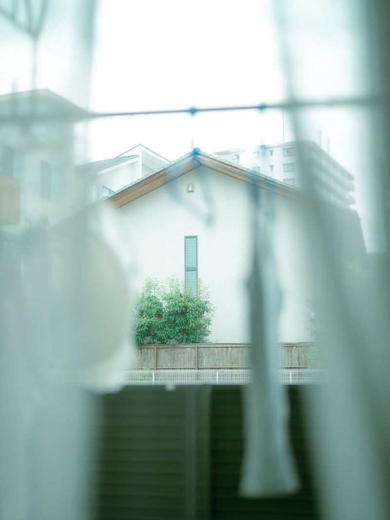 © Ryo Adachi - I Want To Check The Shape Of Trees-02