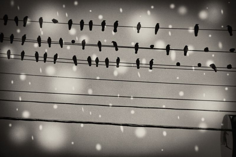 © Yukari Chikura - Image from the ZAIDO photography project