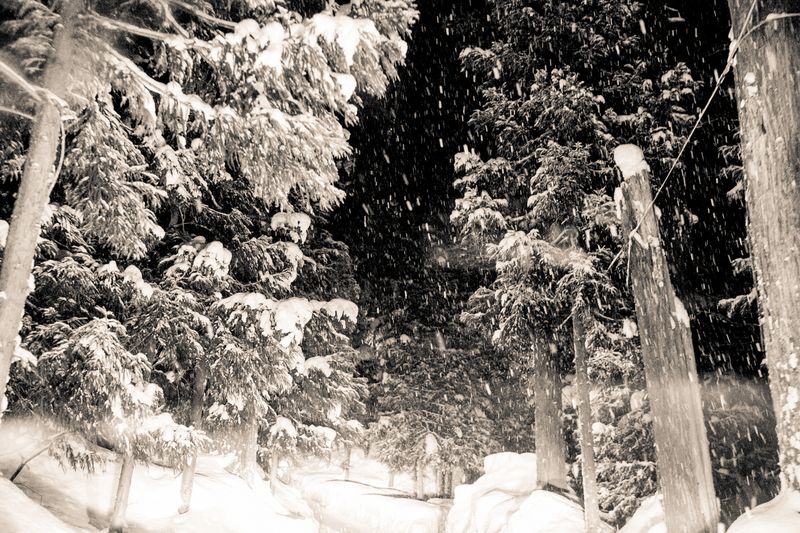 © Yukari Chikura - Image from the ZAIDO photography project