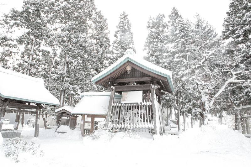 © Yukari Chikura - Image from the ZAIDO photography project