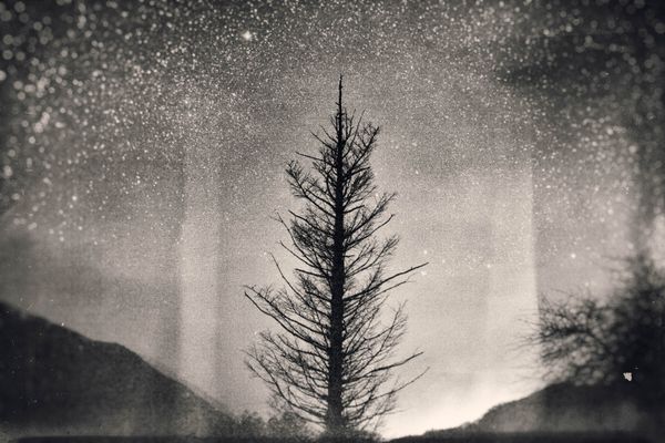 © Yukari Chikura - Image from the Fluorite Fantasia (Looking For My Father...) photography project