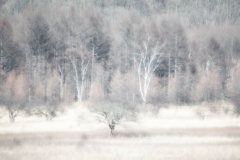 © Yukari Chikura - Image from the Fluorite Fantasia (Looking For My Father...) photography project