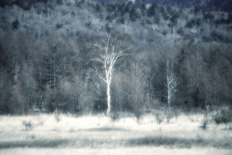 © Yukari Chikura - Image from the Fluorite Fantasia (Looking For My Father...) photography project