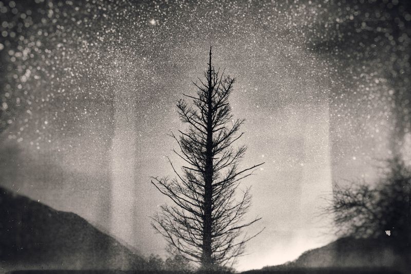 © Yukari Chikura - Image from the Fluorite Fantasia (Looking For My Father...) photography project
