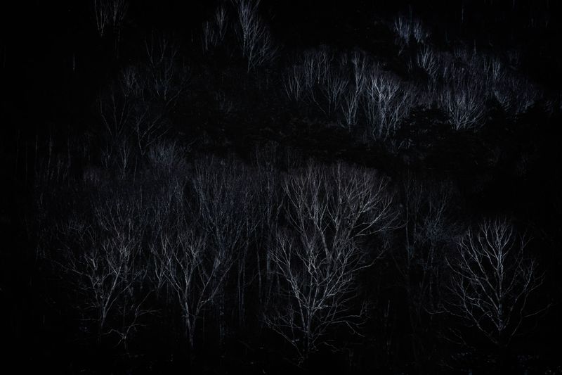 © Yukari Chikura - Image from the Fluorite Fantasia (Looking For My Father...) photography project