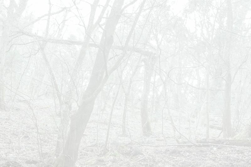 © Yukari Chikura - Image from the Fluorite Fantasia (Looking For My Father...) photography project