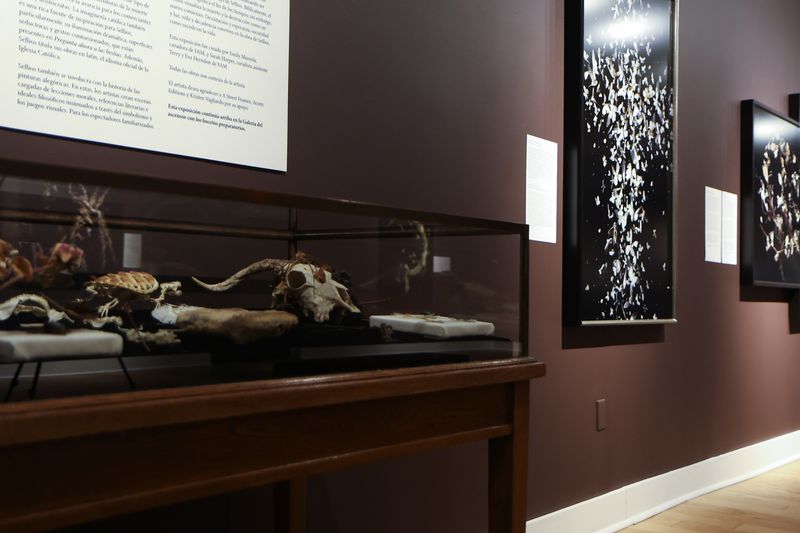 Image from a project on PhMuseum