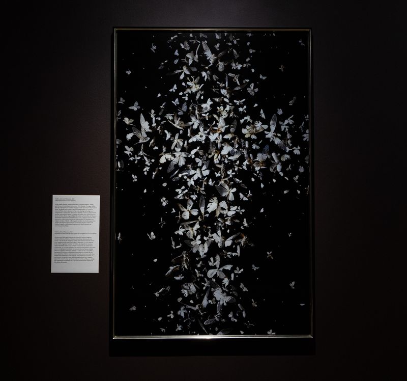 Image from a project on PhMuseum