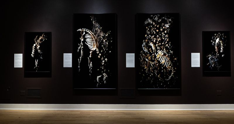 Image from a project on PhMuseum