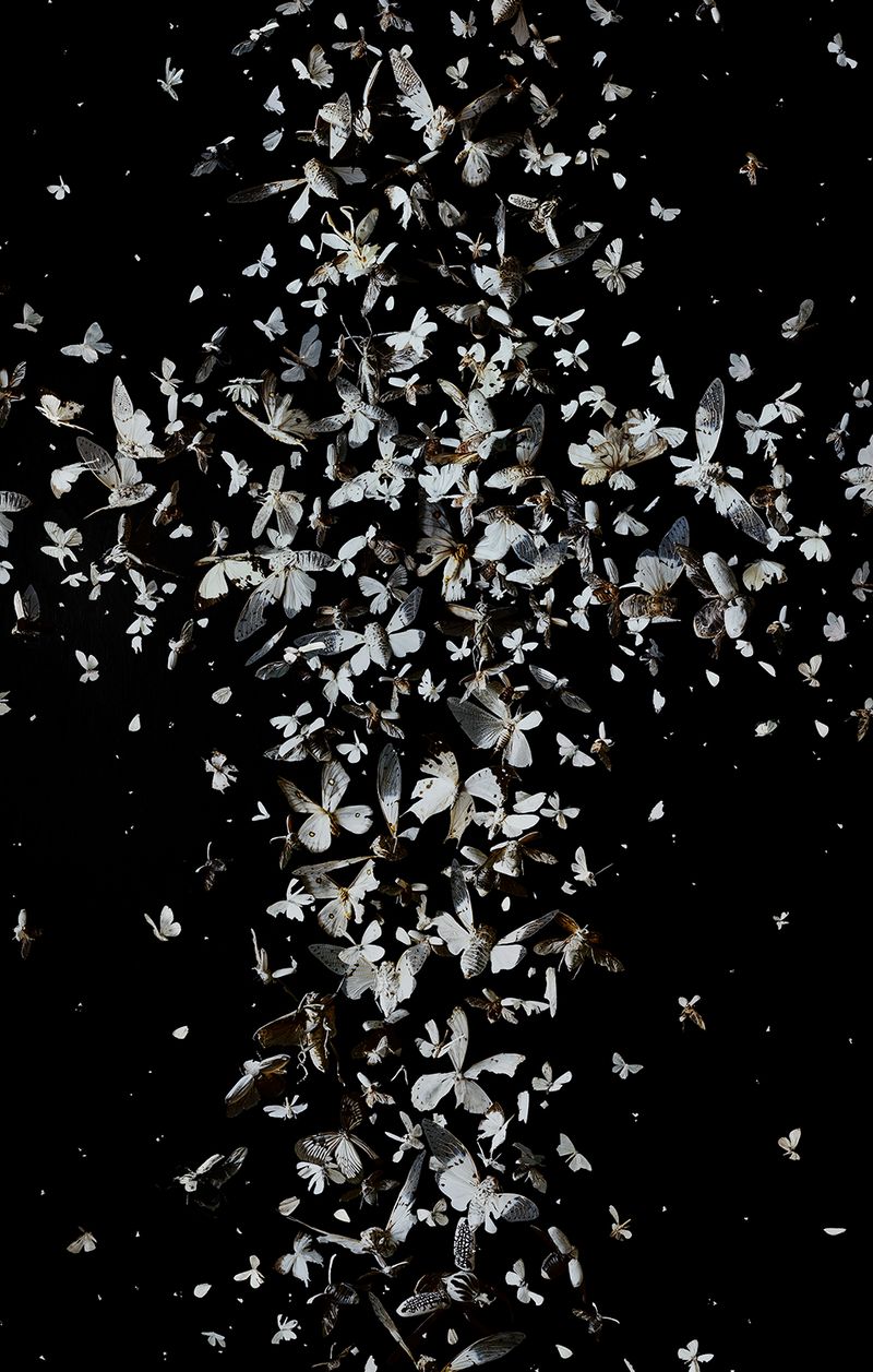 Image from a project on PhMuseum