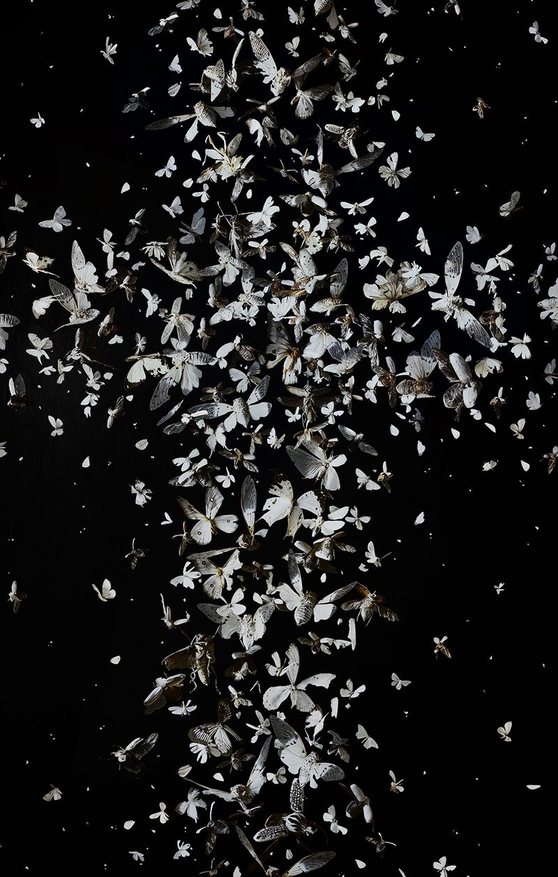 Image from a project on PhMuseum