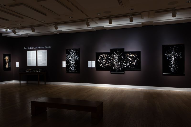 Image from a project on PhMuseum