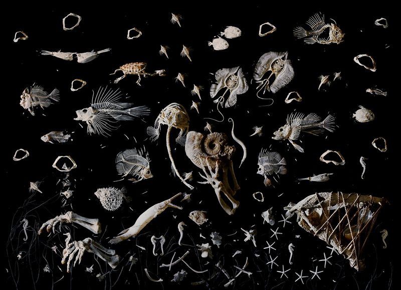 Image from a project on PhMuseum