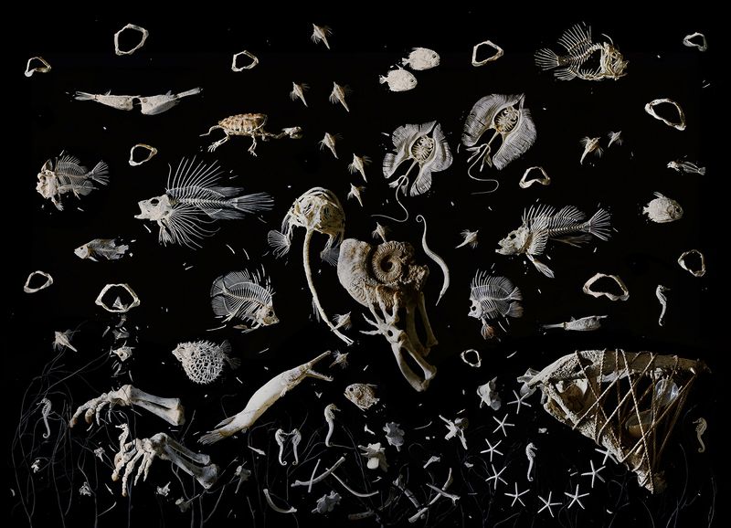 Image from a project on PhMuseum