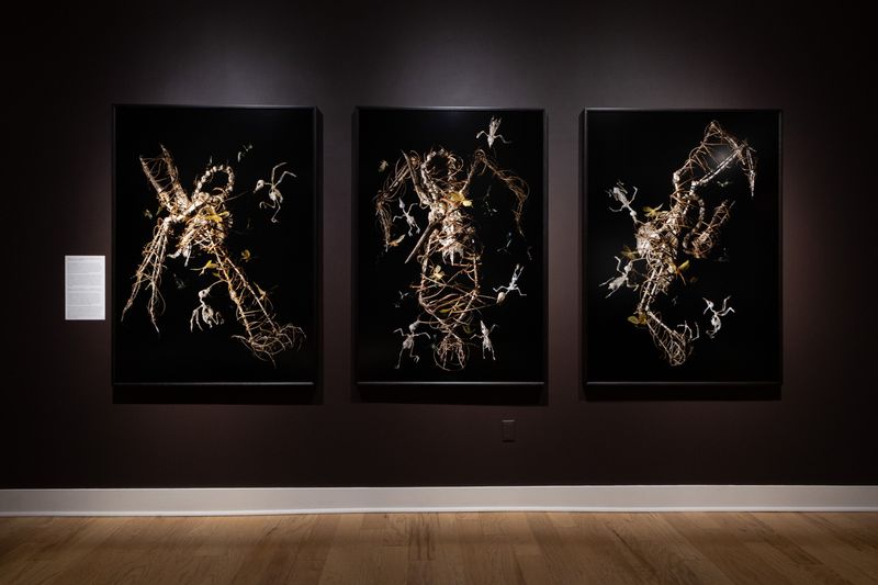 Image from a project on PhMuseum