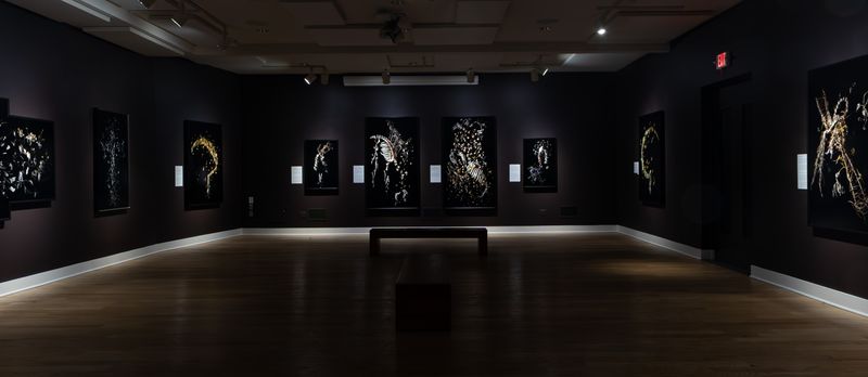 Image from a project on PhMuseum