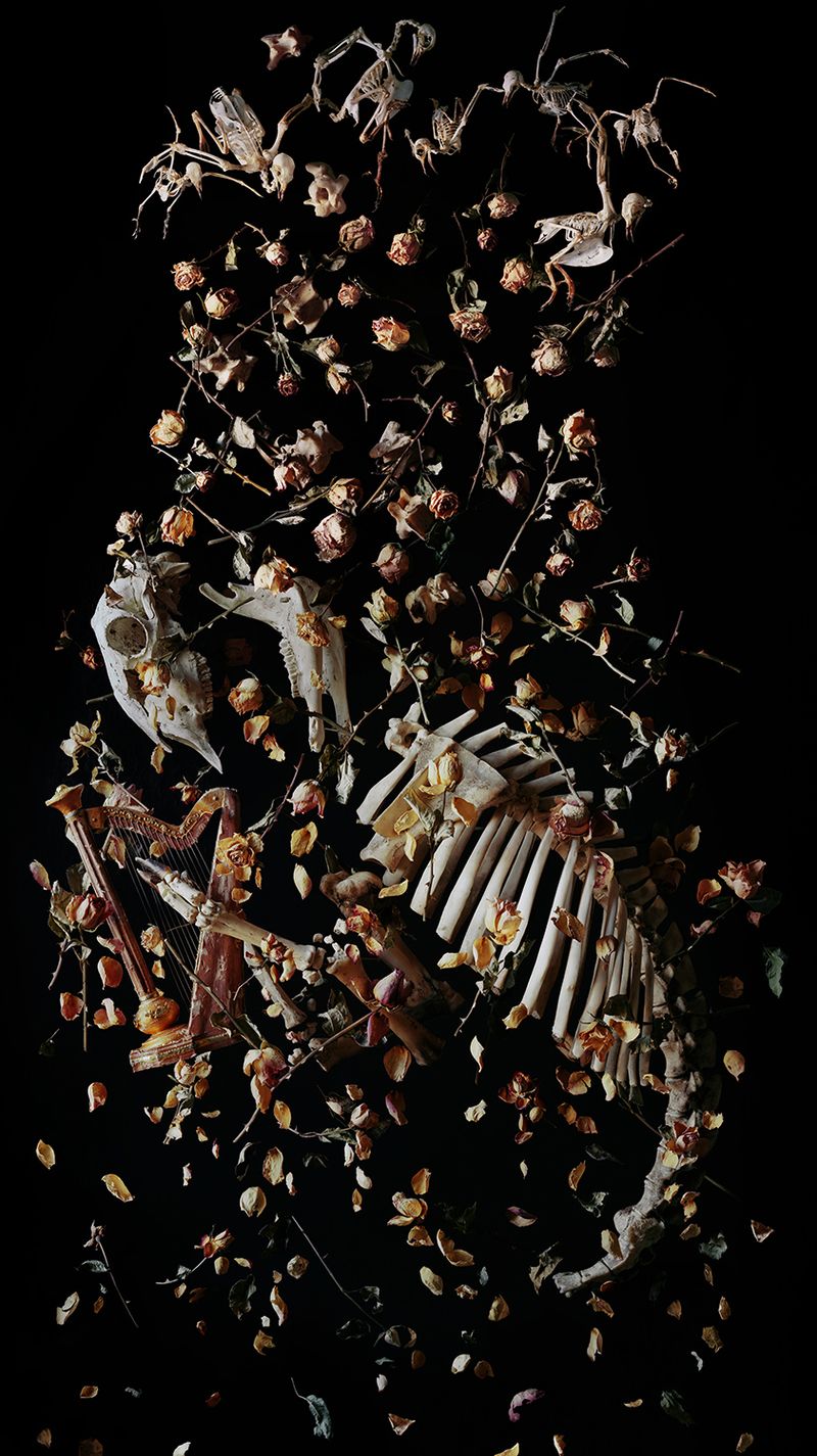 Image from a project on PhMuseum