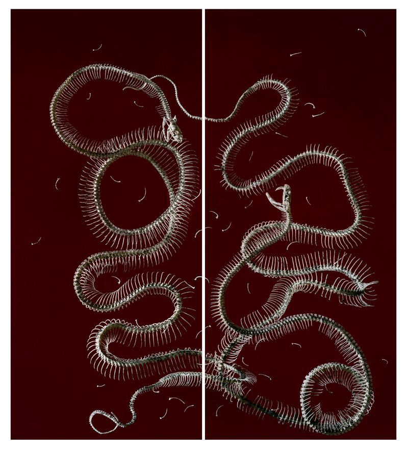 © Tara Sellios - The Seven Woes No. 2, 2019, 50x44 inches, inkjet print mounted to dibond