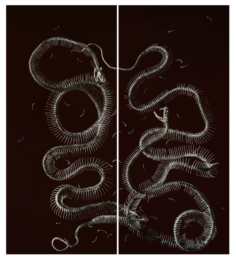 © Tara Sellios - The Seven Woes No. 2, 2019, 50x44 inches, inkjet print mounted to dibond