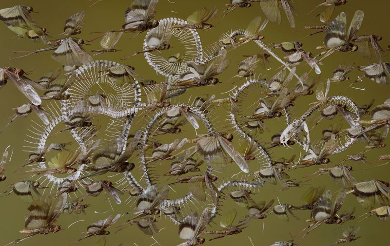 © Tara Sellios - The Seven Woes No. 1, 2019, 31.5x50 inches, inkjet print mounted to dibond