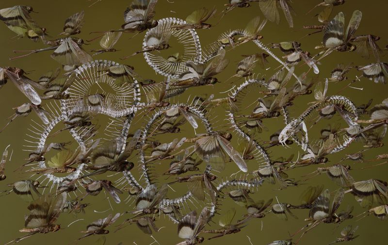 © Tara Sellios - The Seven Woes No. 1, 2019, 31.5x50 inches, inkjet print mounted to dibond