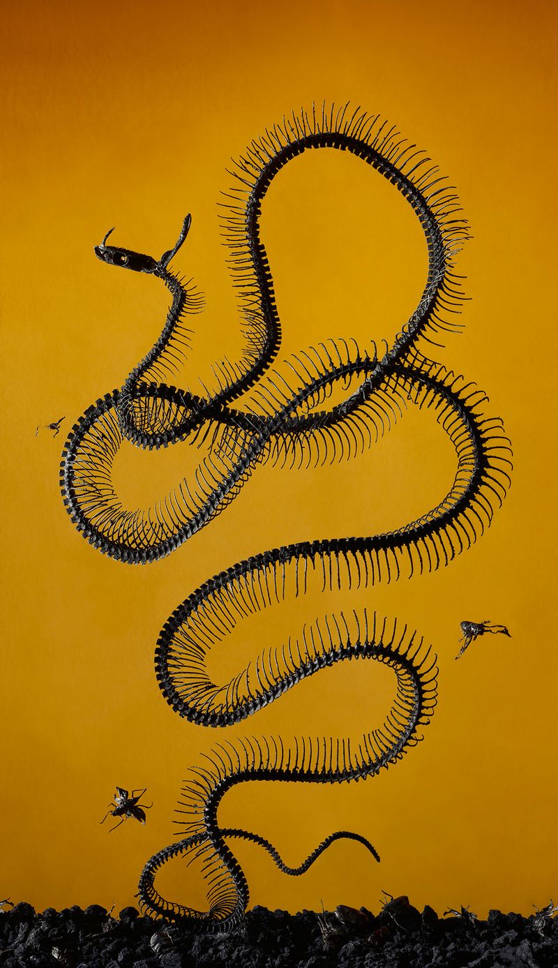 © Tara Sellios - The Seven Woes No. 4, 2019, 60x34.5 inches, inkjet print mounted to dibond