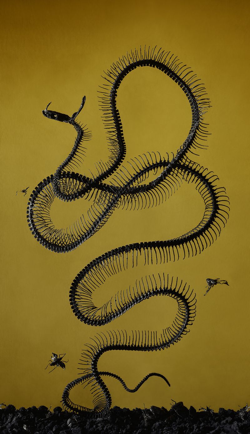 © Tara Sellios - The Seven Woes No. 4, 2019, 60x34.5 inches, inkjet print mounted to dibond