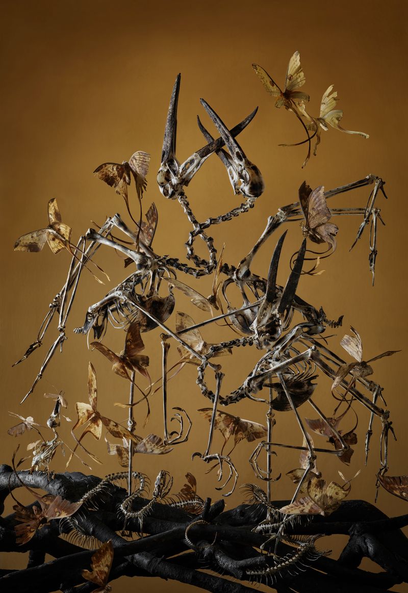 © Tara Sellios - Triangulum, 2019, 25x53 inches, inkjet print mounted to dibond