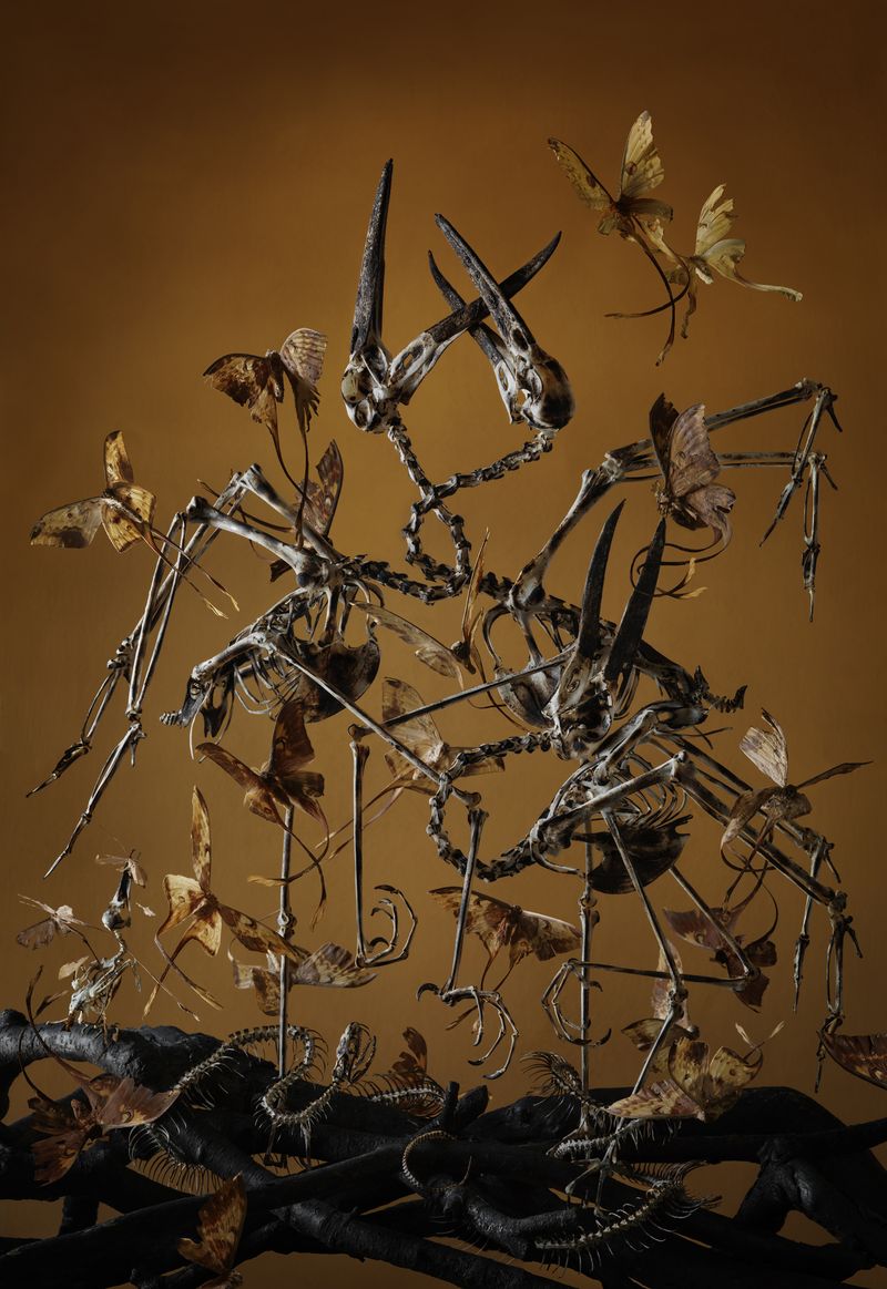 © Tara Sellios - Triangulum, 2019, 25x53 inches, inkjet print mounted to dibond