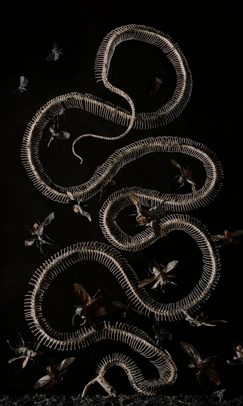 © Tara Sellios - The Seven Woes No. 5, 2019, 50x33 inches, inkjet print mounted to dibond