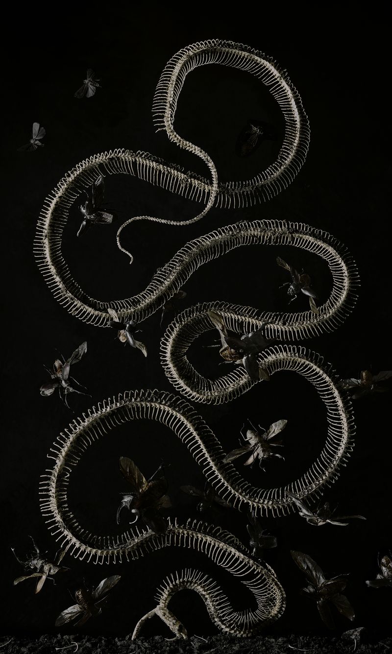 © Tara Sellios - The Seven Woes No. 5, 2019, 50x33 inches, inkjet print mounted to dibond