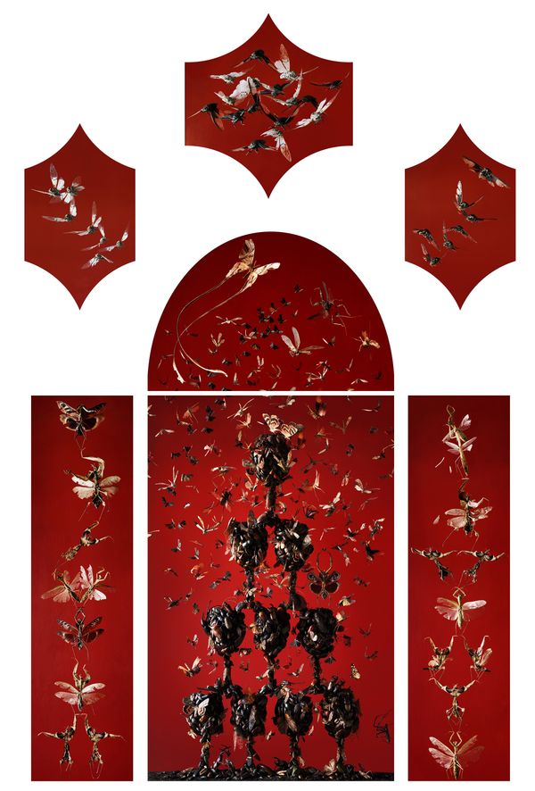 © Tara Sellios - Infestatio, 2019, seven panels, 95x65 inches, inkjet print mounted to dibond