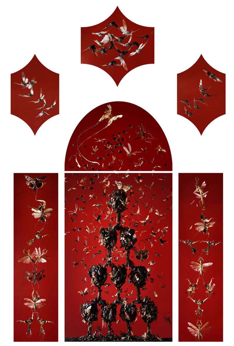 © Tara Sellios - Infestatio, 2019, seven panels, 95x65 inches, inkjet print mounted to dibond